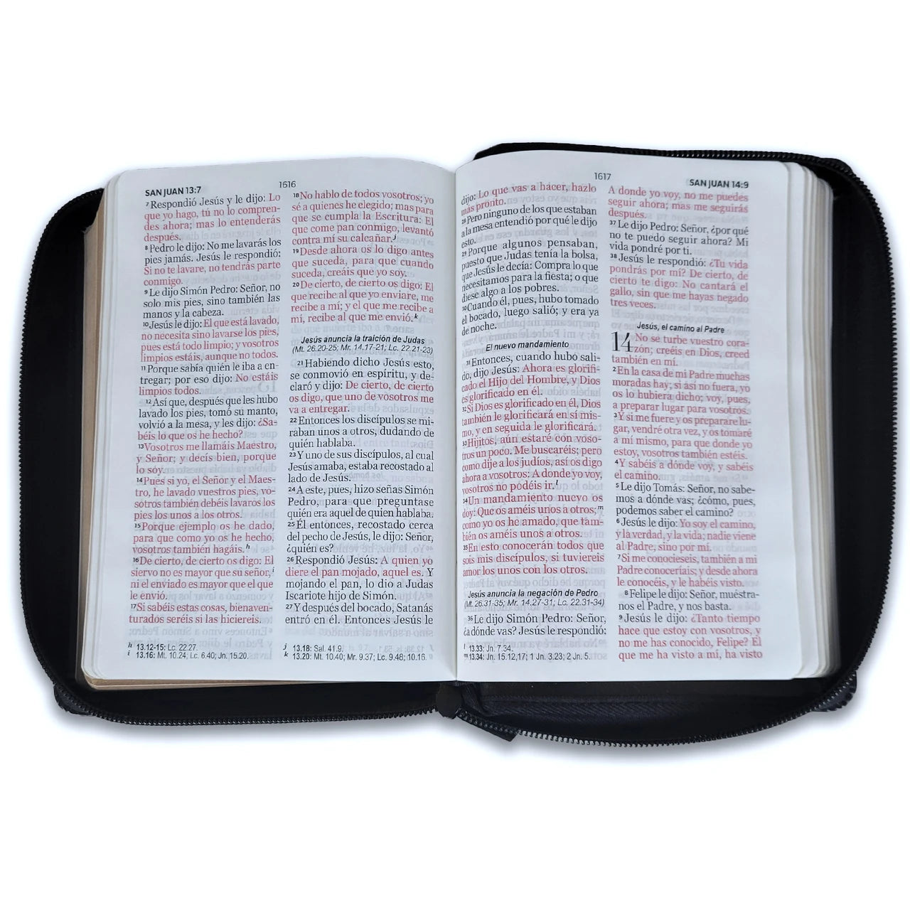 Biblia Reina Valera 1960 – 025 – Con Concordancia – Letra 11 pts – 11x16 cm – Cierre – Negro
