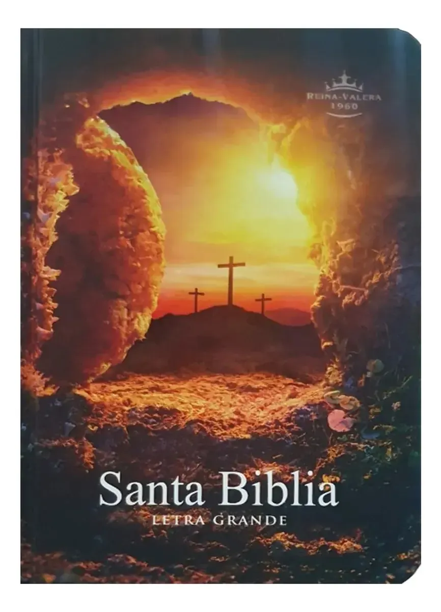 BIBLIA RVR.23c L 9 PUNTOS 9x13 PJR TAPA DURA COLORES PIEDRA
