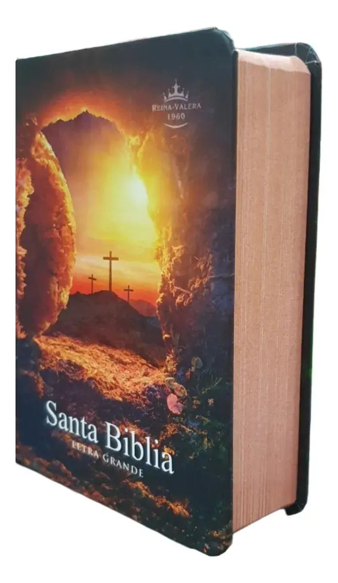 BIBLIA RVR.23c L 9 PUNTOS 9x13 PJR TAPA DURA COLORES PIEDRA