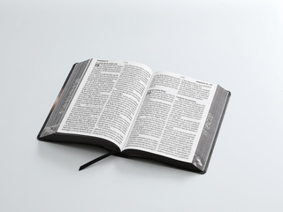 Biblia Reina Valera 1960 088C Lsgi 19P 16X23 Cp Pjr León De Juda
