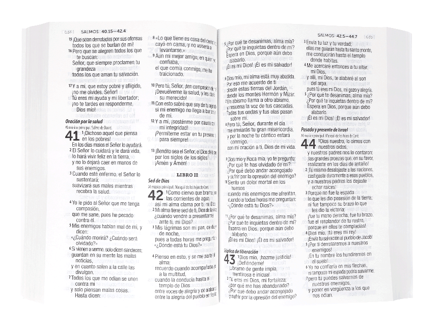 Biblia Reina Valera Contemporánea – Tapa Cartulina, 14 x 20 cm, Letra 12 Puntos