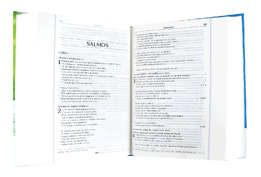 Biblia Devocional 365 Reflexiones Reina Valera 1960 – Tapa Dura, Concordancia, Letra 8 Puntos