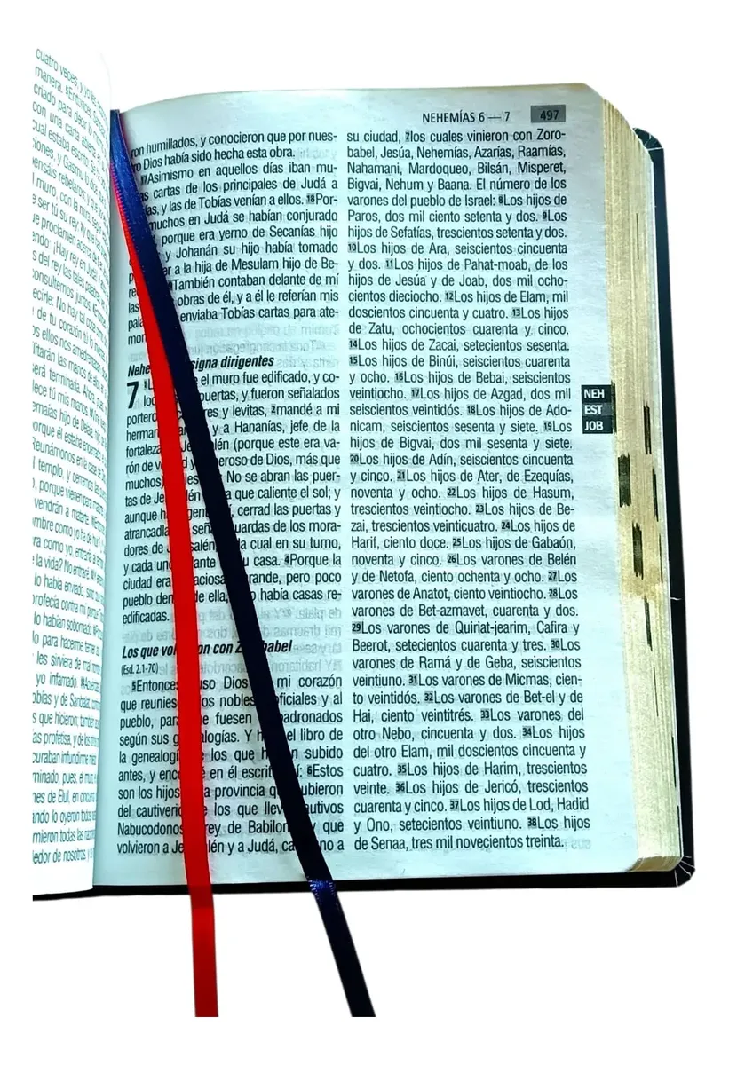 Biblia Reina Valera 1960 – Tapa Vinilo León Negro, Concordancia, Palabras de Jesús en Rojo, 14 x 22 cm, Letra 12 Puntos
