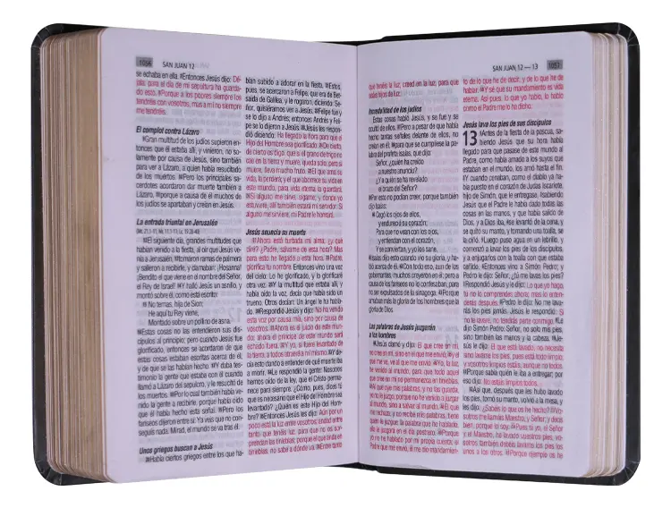 Biblia Reina Valera 1960 – Tapa Vinilo Flores Moradas, Palabras de Jesús en Rojo, 7 x 11 cm, Letra 7 Puntos