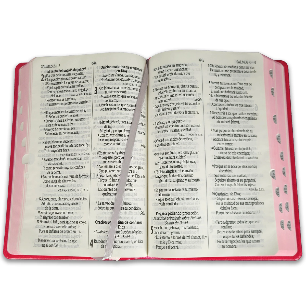 Biblia Reina Valera 1960 – Tapa Imitación Piel Mariposa Rosa, con Cierre, Concordancia, Palabras de Jesús en Rojo, con Índice, 14 x 22 cm, Letra 12 Puntos