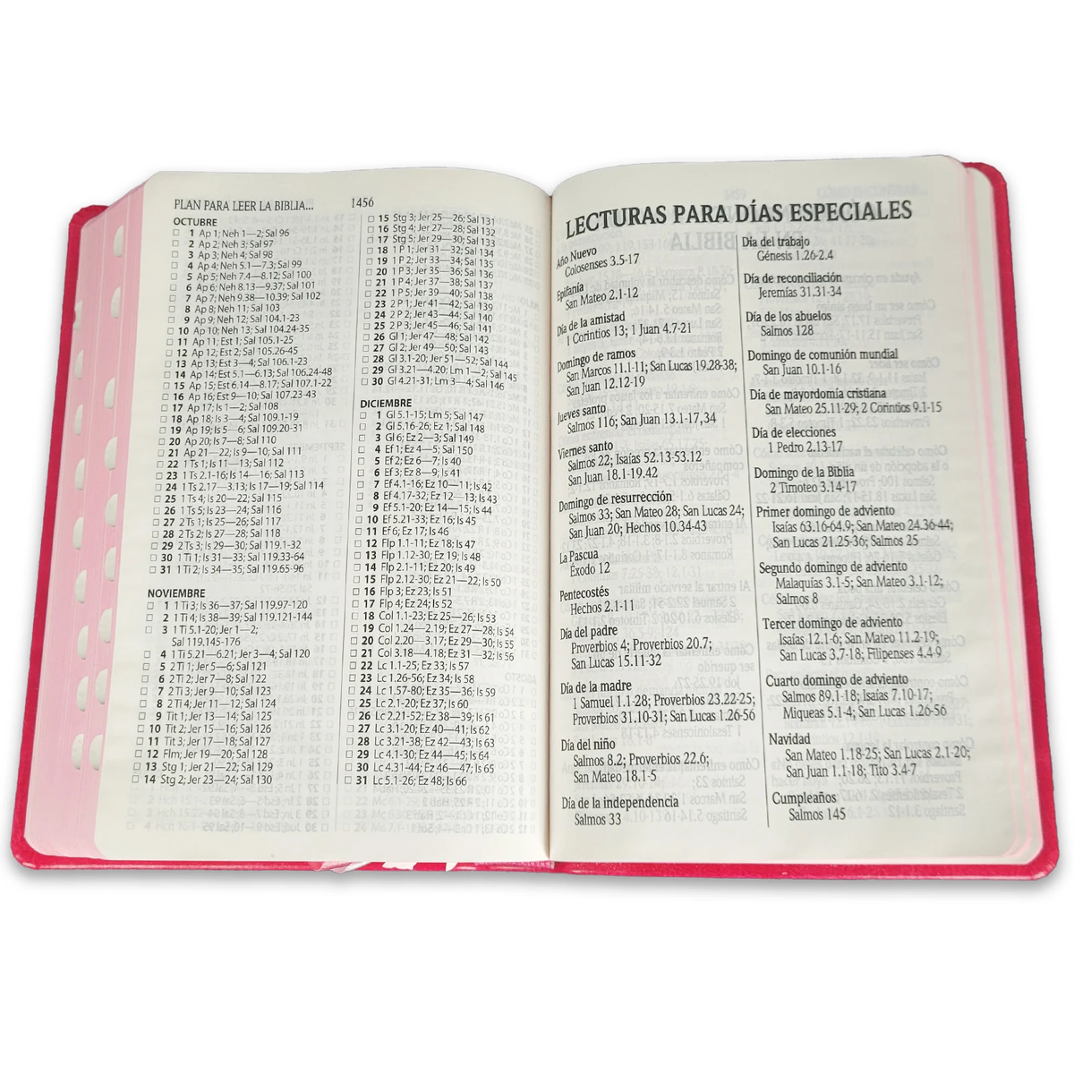 Biblia Reina Valera 1960 – Tapa Imitación Piel Mariposa Rosa, con Cierre, Concordancia, Palabras de Jesús en Rojo, con Índice, 14 x 22 cm, Letra 12 Puntos