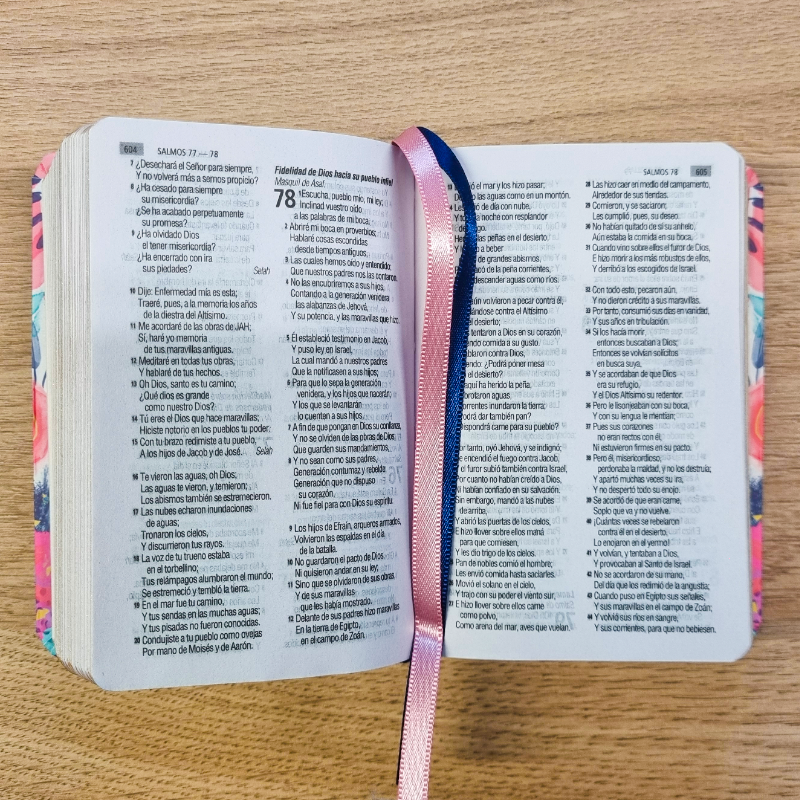 Biblia Reina Valera 1960 – Tapa Vinilo, Palabras de Jesús en Rojo, 7 x 11 cm, Letra 7 Puntos