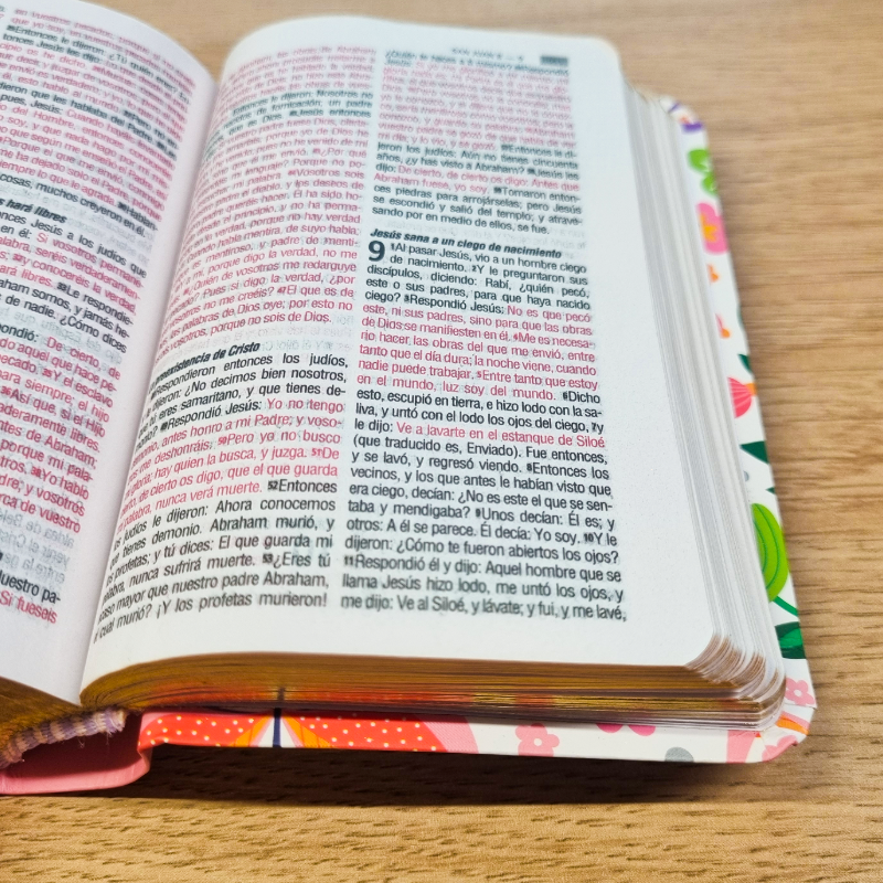 Biblia RVR 1960 Mariposa Bolsillo