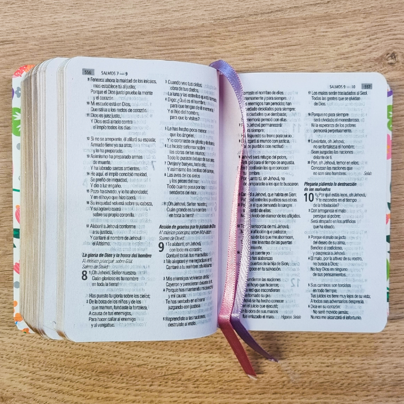Biblia RVR 1960 Mariposa Bolsillo