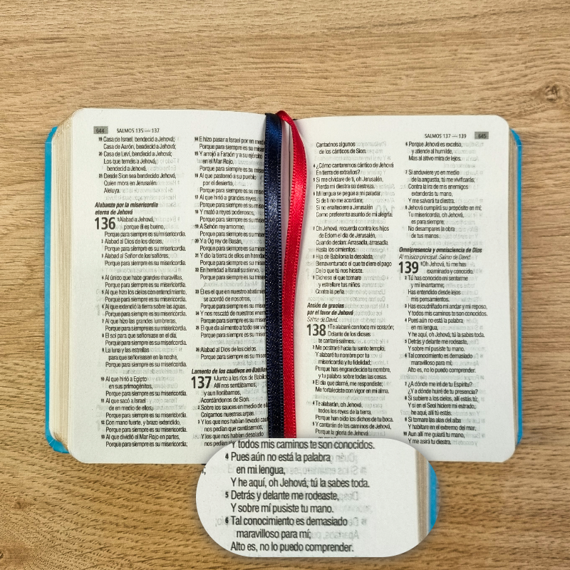 Biblia Reina Valera 1960 – Tapa Vinilo, Palabras de Jesús en Rojo, 7 x 11 cm, Letra 7 Puntos