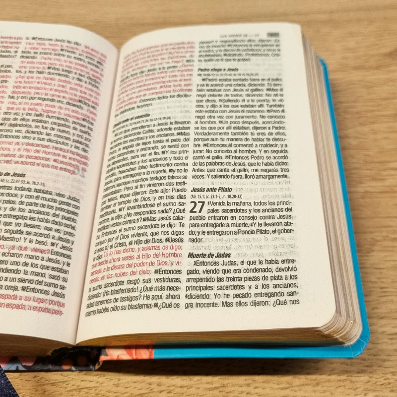 Biblia Reina Valera 1960 – Tapa Vinilo, Palabras de Jesús en Rojo, 7 x 11 cm, Letra 7 Puntos