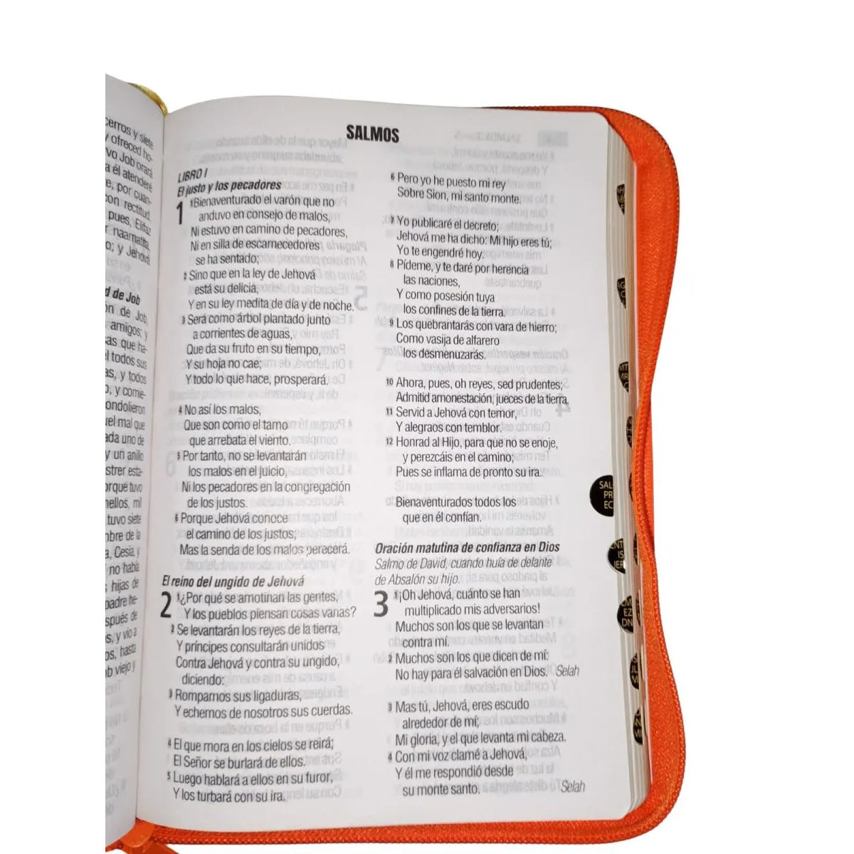 Biblia Reina Valera 1960 Letra 11p PJR cierre índice Covertex Naranja